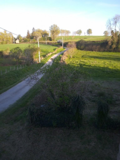 View from Upstairs