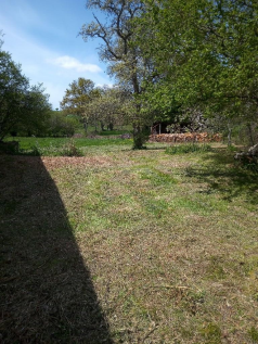 Rear Land