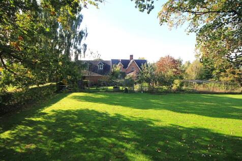 View From Garden