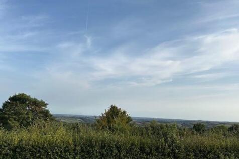 view.jpg