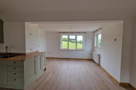 Kitchen / Living Area