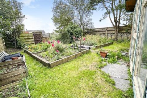 Summer Garden.jpg