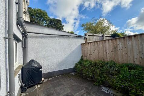 Back Garden