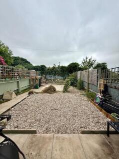 Back Garden3.jpg