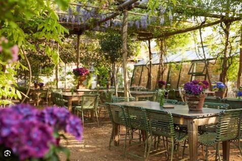Restaurant Garden.JPG