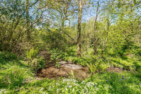 Property Image 44