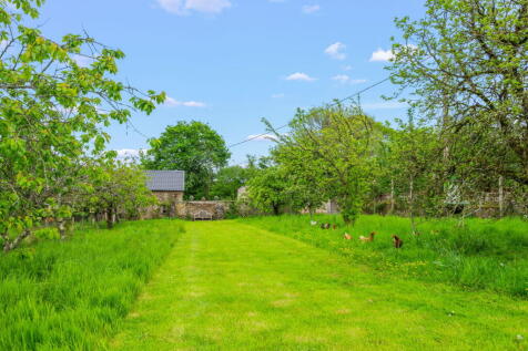 Property Image 54