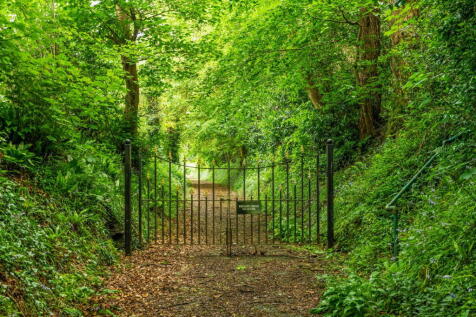 Property Image 58