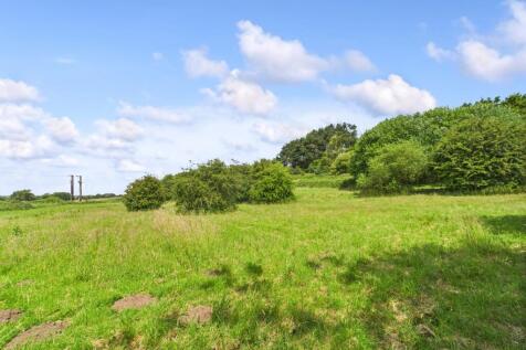 Field