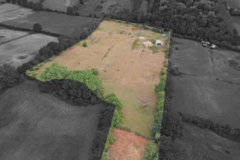 Field