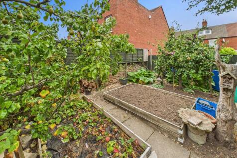 Vegetable Patch