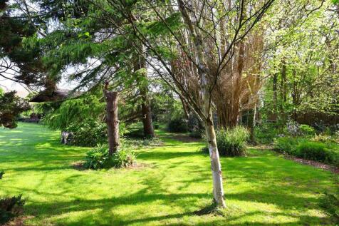 Woodland
