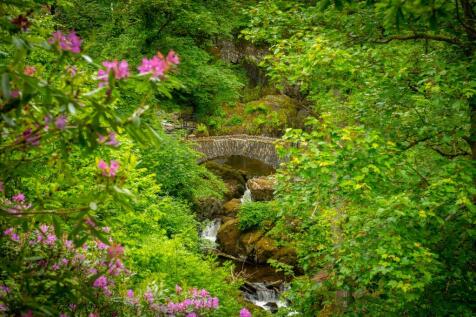 local area nature scene Penrith
