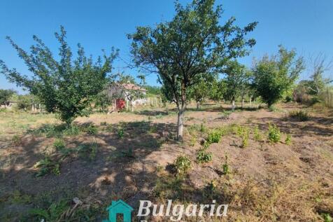 Property Image 23