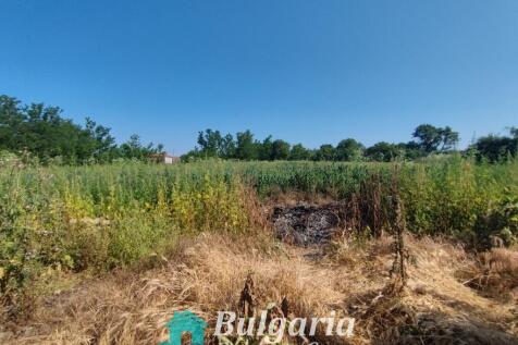 Property Image 25