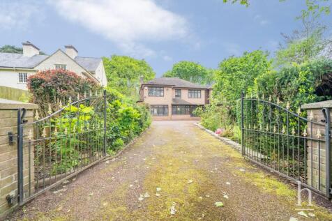 Property Image 38