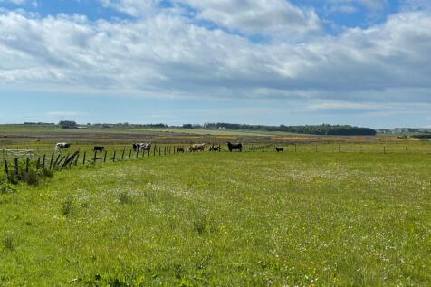 Kinlochy Farm