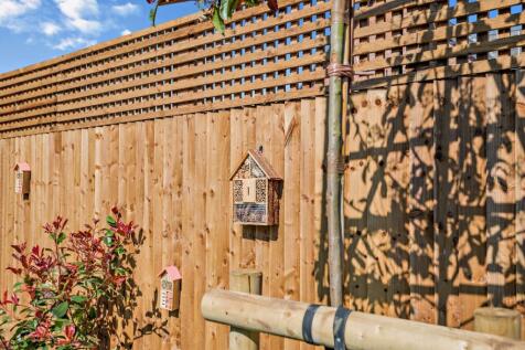 E.g. Back garden