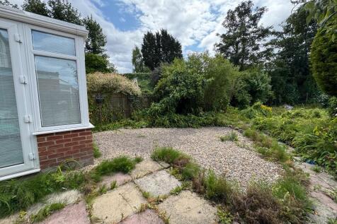 Back Garden