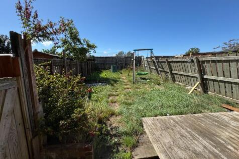 Back Garden