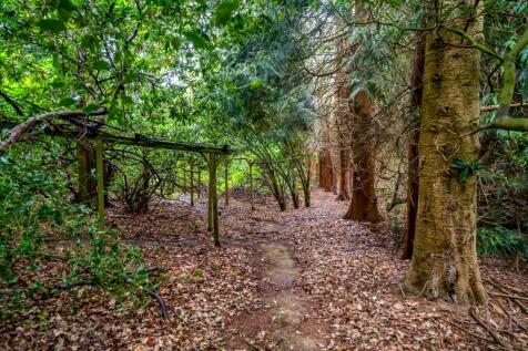 Property Image 36
