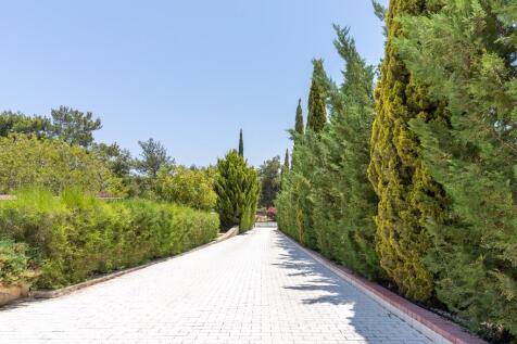 Tree Lined Driveway