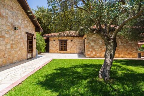 Olive Trees