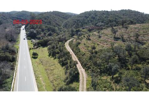 R144 - dji_0199