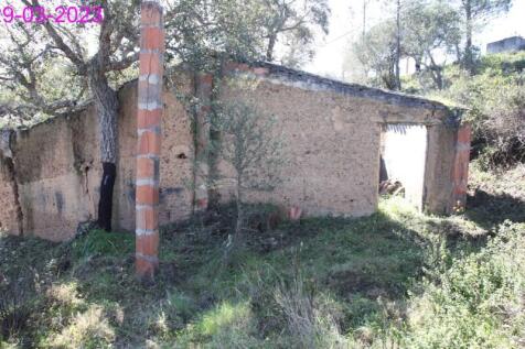 R145 - img_0030