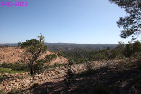 R145 - img_0040
