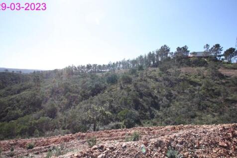 R145 - img_0044