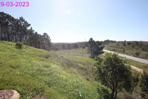 R145 - img_0049