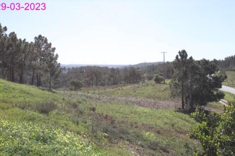 R145 - img_0050