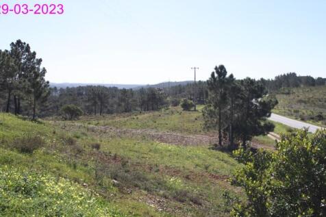 R145 - img_0051