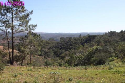 R145 - img_0055