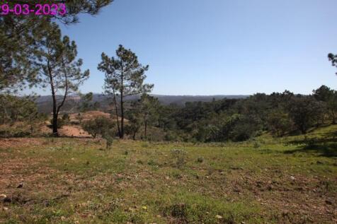 R145 - img_0054