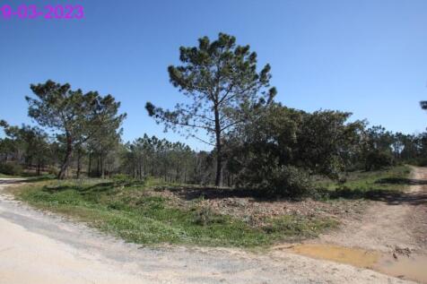 R145 - img_0060