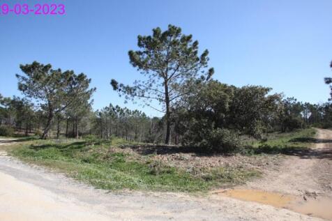 R145 - img_0061