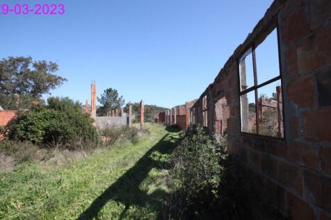 R145 - img_0065