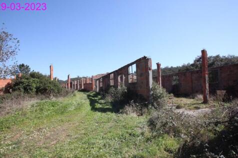 R145 - img_0064