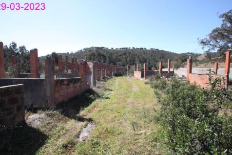R145 - img_0071