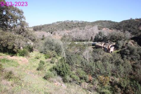 R145 - img_0073