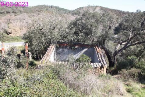 R145 - img_0078