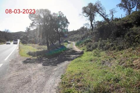 R144 - img_9971