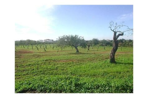 estoi, faro, algarve, sale, land, property, golden, visa, jorgeapolo