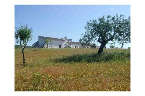 estoi, faro, algarve, sale, land, property, golden, visa, jorgeapolo