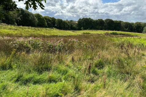 Grassland