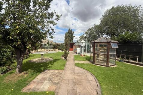 Back Garden