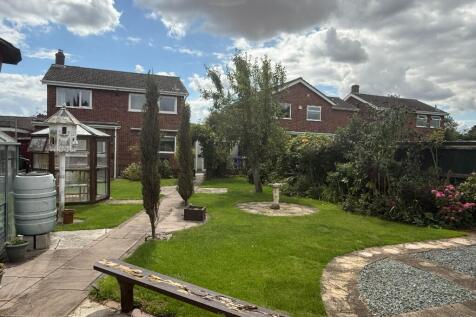 Back Garden