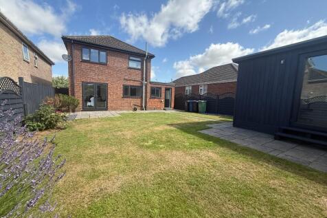 Back Garden